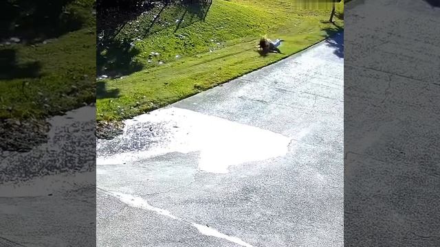 video_2025-01-19_16-36-01 (online-video-cutter.com) (5)