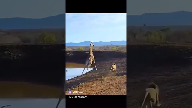 truck driver
