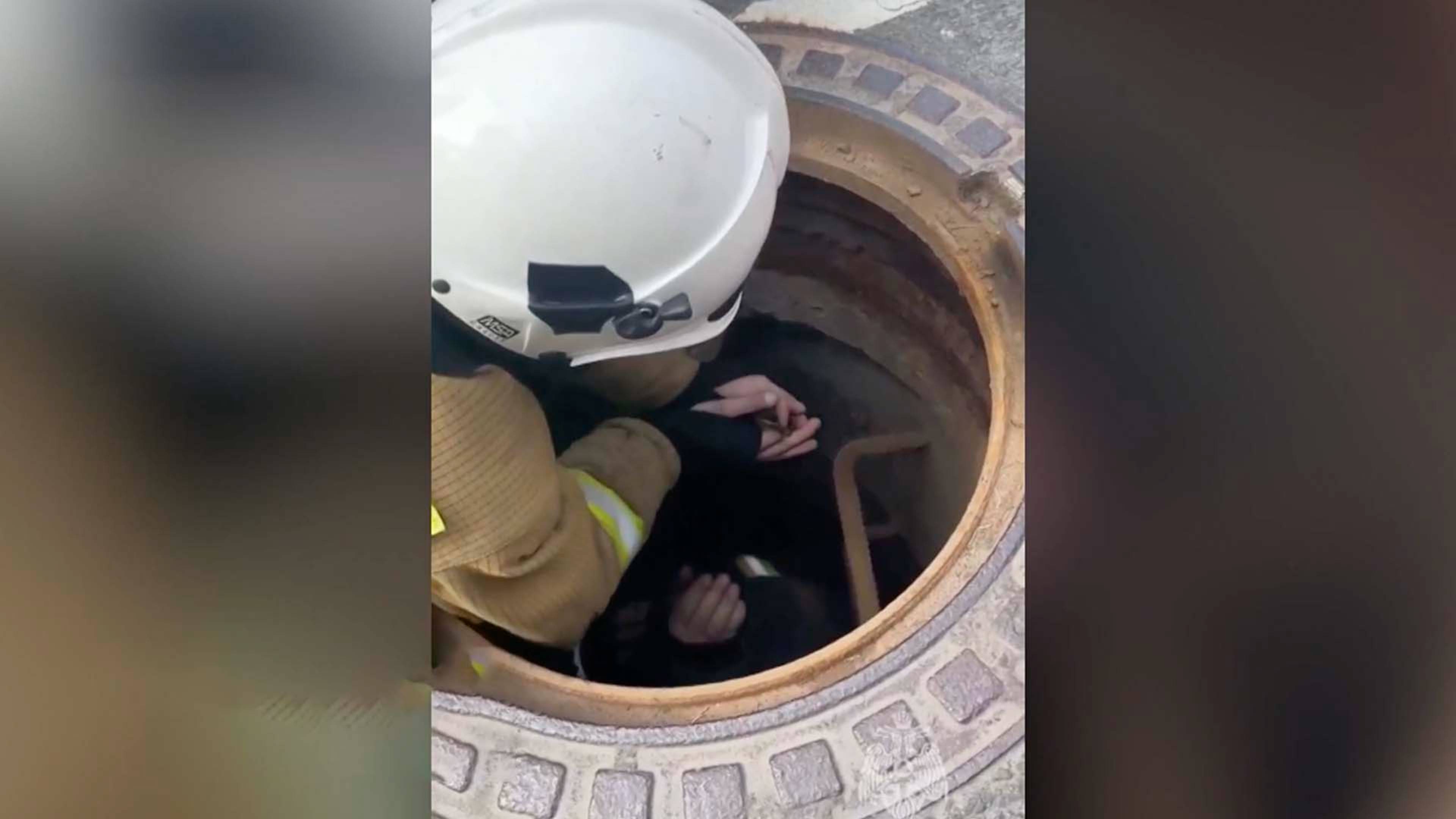 Упавших в канализационный люк утят спасли в Санкт-Петербурге