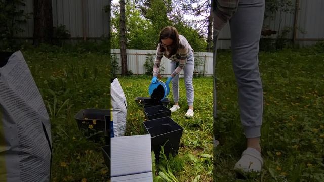 Обустройство террасы.mp4