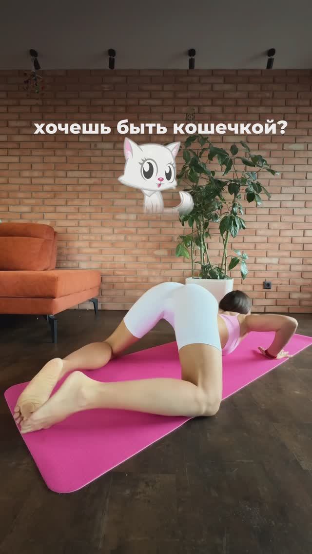 Будь кошечкой. Подпишись и читай описание ✅