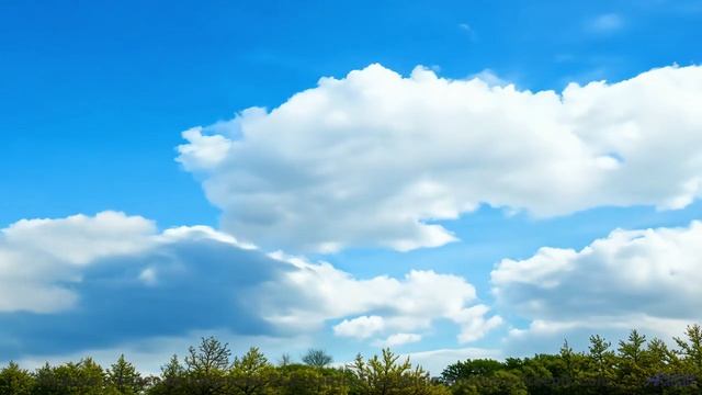Музыка, которая нарушает законы физики - как это возможно - O-C-D-I-T-Guy -- Ranch House -- The Ranc