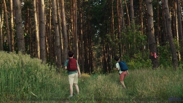 Звук, который слышат только обладатели чипов - а вы - Spirit-Ache -- Ketsa -- The Lost Files