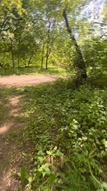 Где мы? #земнойирий #коломенское #древниемегалиты #культовыекамни #загадки #мистика #местасилы