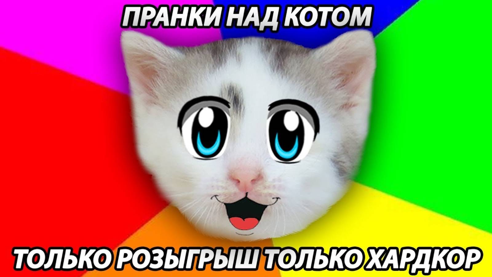 ВСЕ РОЗЫГРЫШИ НАД КОТАМИ А ну-ка Давай-ка ! Смешные котики Малыш и Мурка! КОШАЧЬЯ семья РАЗЫГРАНА