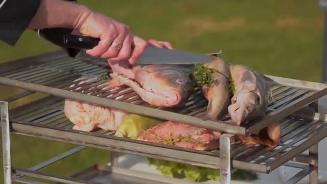 Коптим рыбу, мясо, курицу в коптильне горячего копчения Voldone