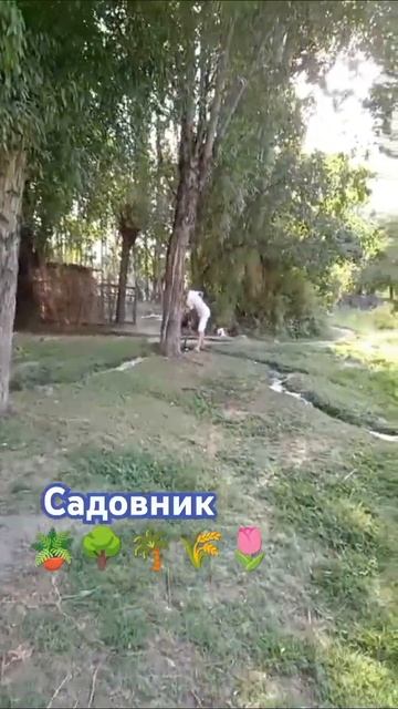 молодой садовник