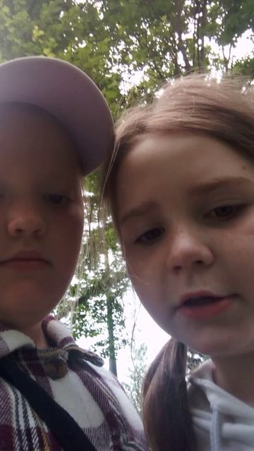 VID_20250617_170017.mp4