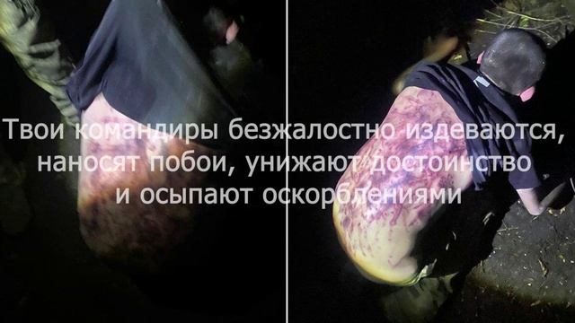 На просторах украинского тиктока нам попался вот такой ролик, где сбежавшие ВСУшники призывают своих