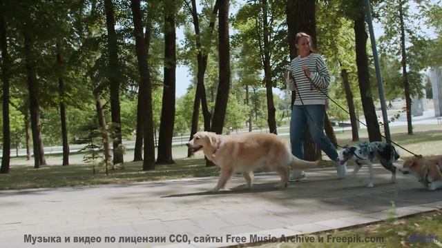 Шум волн + эта музыка = мгновенный релакс! - Smart Tech -- Scott Holmes Music -- Corporate + Motivat