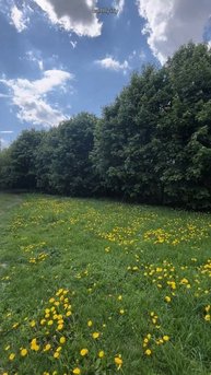 Новые открытия #земнойирий #коломенское #древниемегалиты #культовыекамни #мистика #местасилы