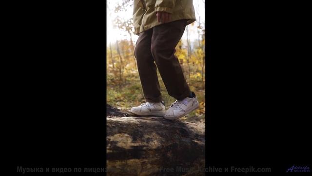 Видео, которое можно понять только с чипом в мозге - или можно - Sound N Fury -- LOPKERJO -- FATE