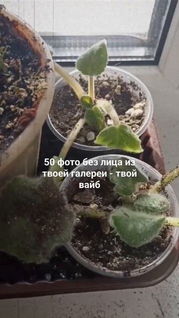 27 марта 2024 г.