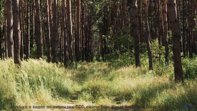 Бегите под этот звук! - Lamb And Wolf -- Podington Bear -- Said Lion To Lamb (Box Set Disc 3)