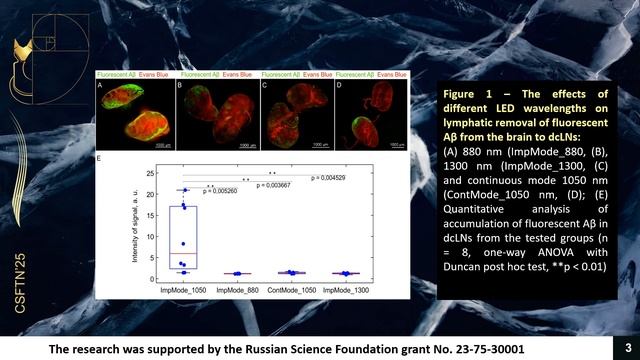 PHOTOSTIMULATION OF LYMPHATIC CLEARANCE OF BETA AMYLOID DURING SLEEP