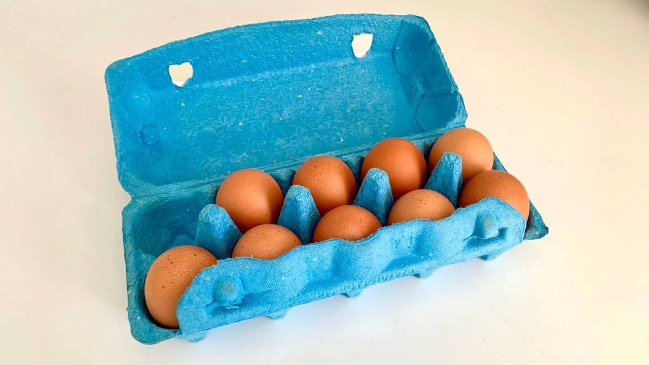 Никогда не выкидывайте лотки из-под яиц. Покажу, какую красоту для дома я из них мастерю