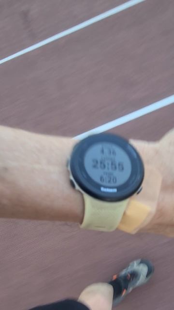 Run. Бег по треку с покрытием 10км. 16 Июня 2025г.