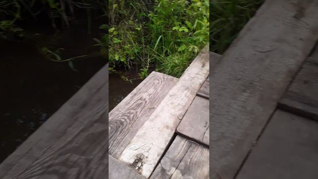 Украли рыбу на рыбалке!!!