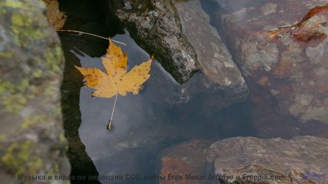 Каждая секунда - будто пощёчина красотой и звуком - Life and Times -- Derek Clegg -- Good Graces