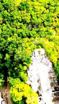 Камера зафиксировала