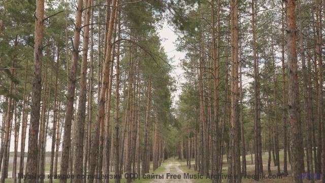 Песня, которая начинается с запуска двигателя и не заканчивается никогда - Space Dust -- Kirk Osamay