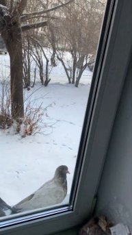 26 ноября 2023 г.