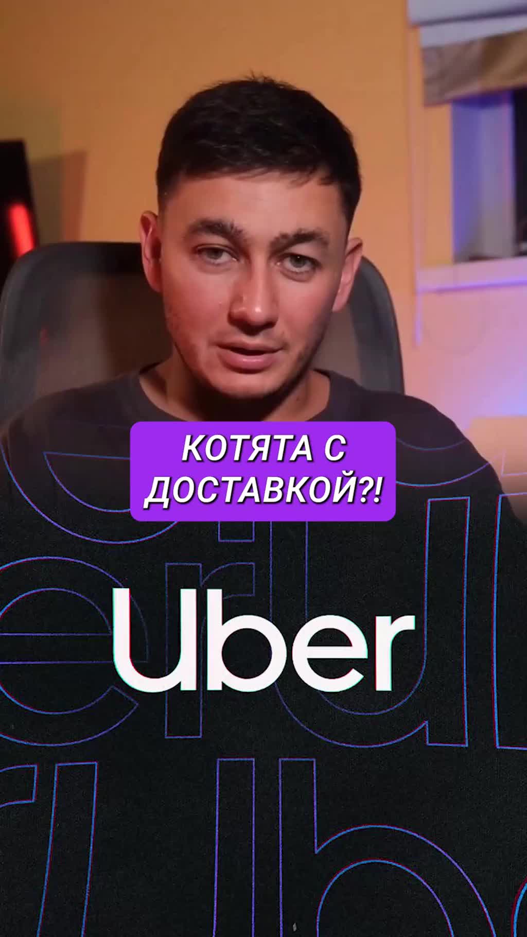 Как Uber на один день стал перевозчиком… котиков