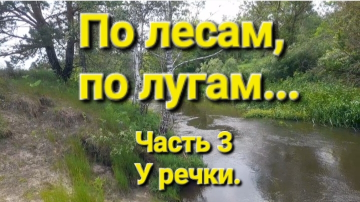 По лесам, по лугам...
Часть 3. У речки.