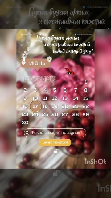 Всемирный день крокодила !😀👍🐊🐊🐊