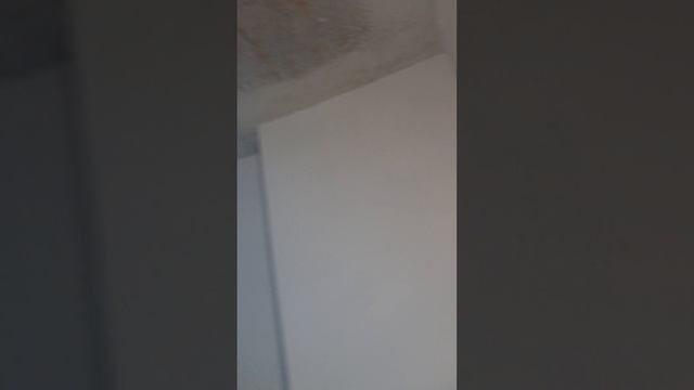 1000026640.mp4