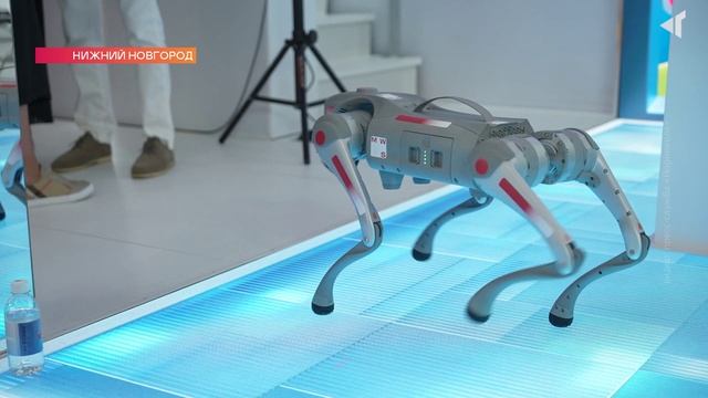 ЦИФРОВАЯ ЭРА, 17.06.2025