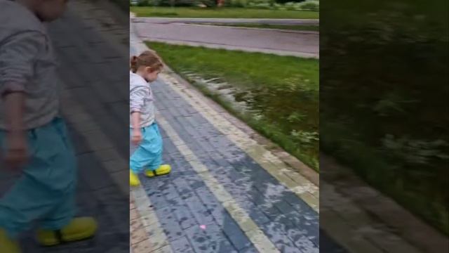 ЧУДЕСНО РАСЧУДЕСНО. КВА- КВА