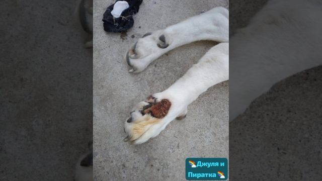Они ушли одна за другой. Они были подругами. И обе очень -очень больны. 
Скорби нет предела.