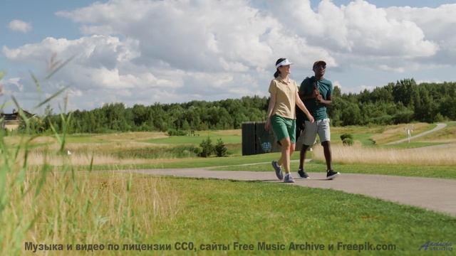 Беспокойство улетает прочь при первом музыкальном аккорде - Airliner -- Podington Bear -- Meet Podin