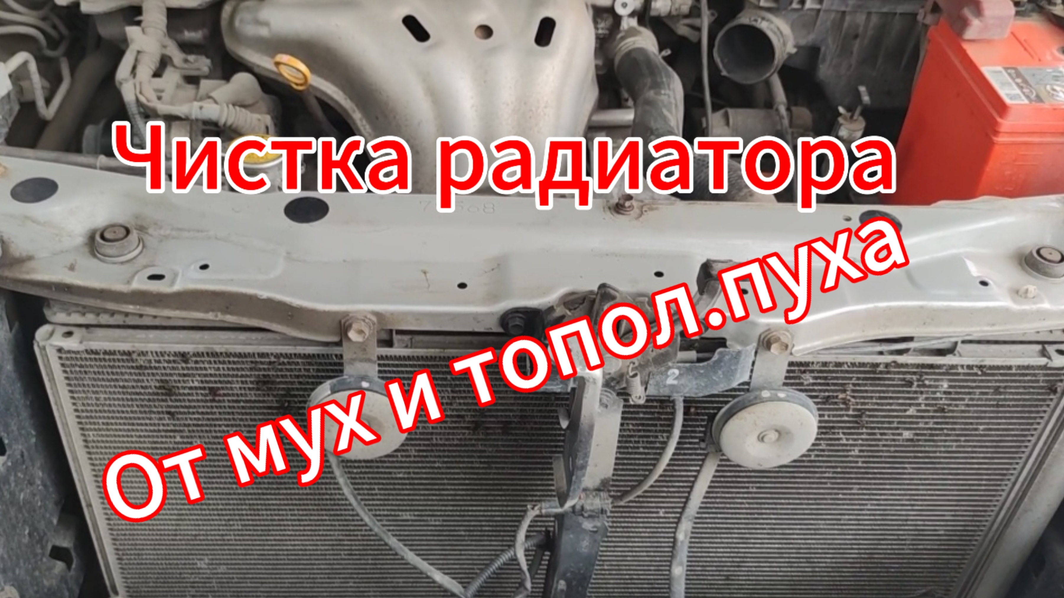 Чистка радиатора автомобиля от насекомых, тополиного пуха и пыли