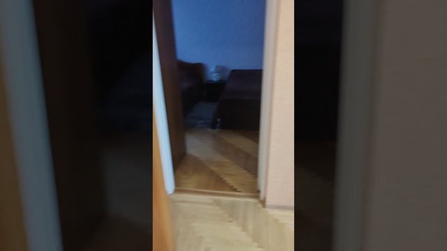 1002790580.mp4