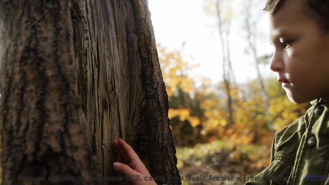 Музыка будущего, которую создал искусственный интеллект! - Falling Up -- Kirk Osamayo -- Season Two
