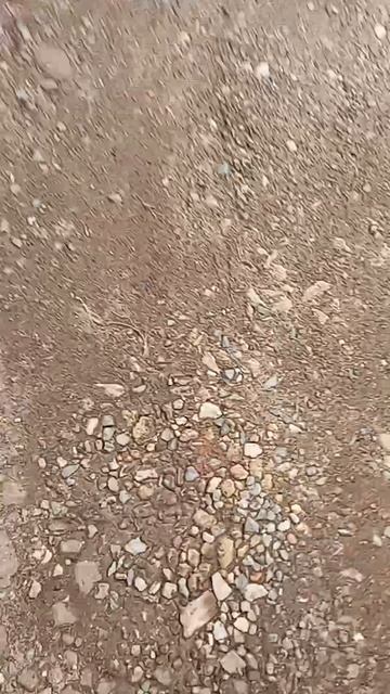 АЛИСА ВОЖАТАЯ 5ЧАСТЬ!!! 🤯🤯
