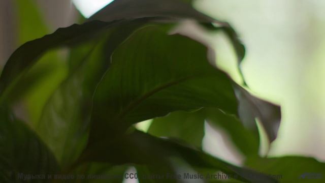 Вы не видели воду такой живой, пока не нажали Play! - Praying For A Blessing -- Kirk Osamayo -- Seas