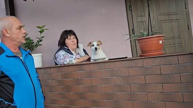 САМВЕЛ АДАМЯН, СЫТНИКИ, СВЕТЛАНА ХОДИТ НОЧЬЮ..