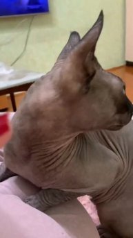 13 июня 2024 г.