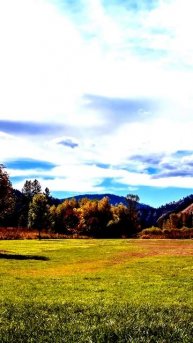 Мгновения, которые невозможно повторить