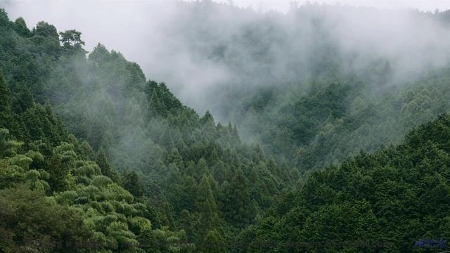 Эти места созданы для любви, а музыка - для вас двоих! - 20 Minute Meditation 8 -- HoliznaCC0 -- Spa