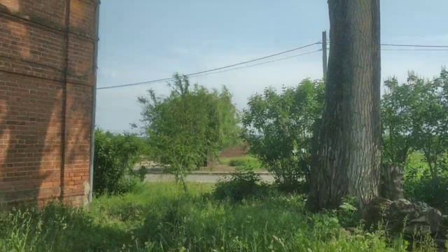 Коси, коса, пока роса