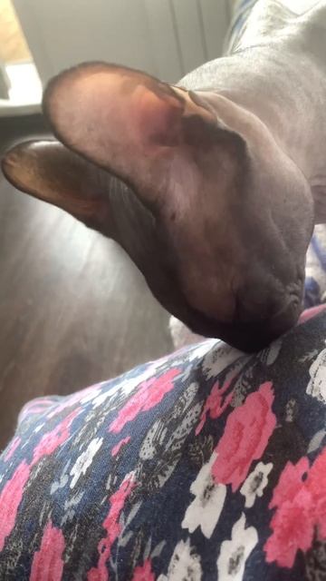 26 июля 2023 г.