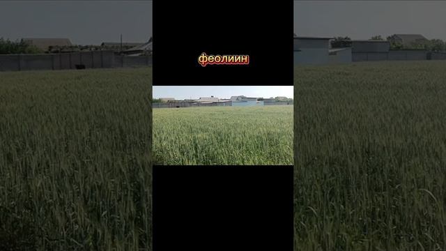 Что произойдёт с верующими после смерти