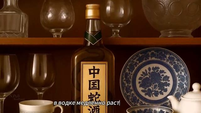Жили-были