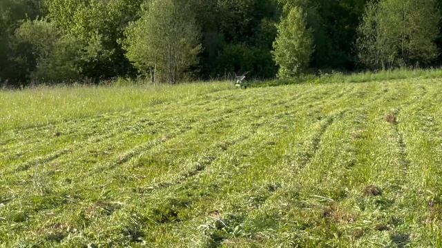 Покос травы роторной косилкой и почему я чуть не выкинул её?!#хочувдеревню #хутор