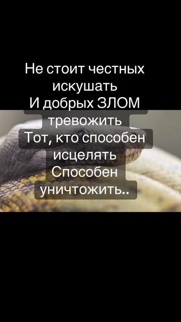 Мудрость