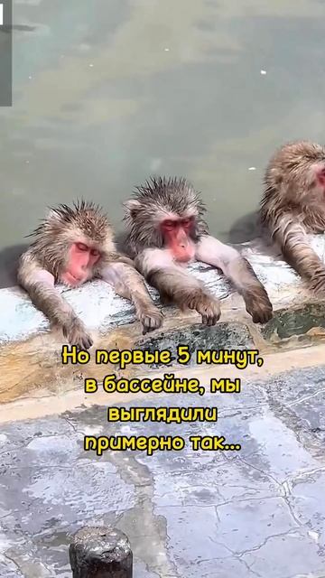 Жаркое перевоплощение 🤣
